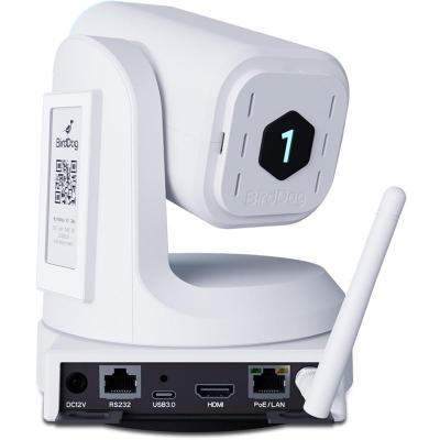 X1 30 White